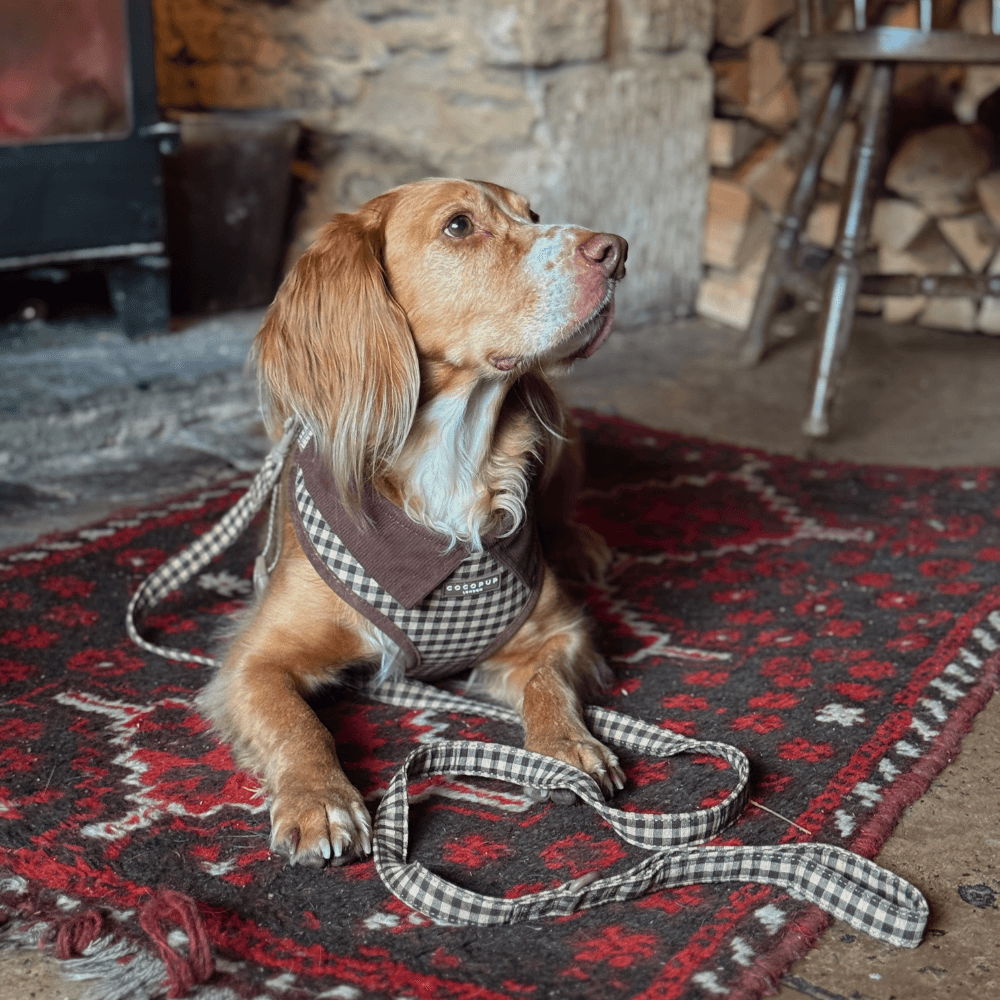 Cotswold Check Lead