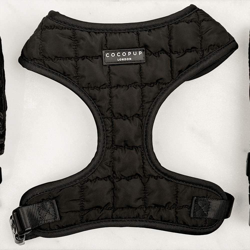 Onyx Quilted Adjustable Neck Harness