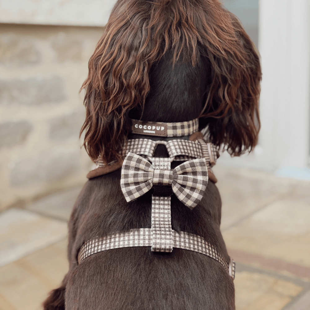 Cotswold Check Collar