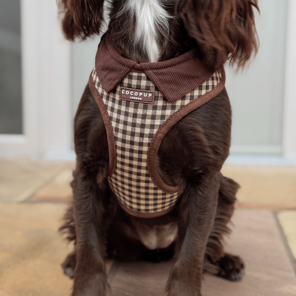 Cotswold Check Adjustable Neck Harness