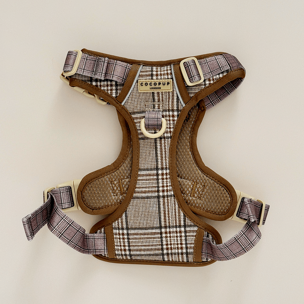 Explore Harness