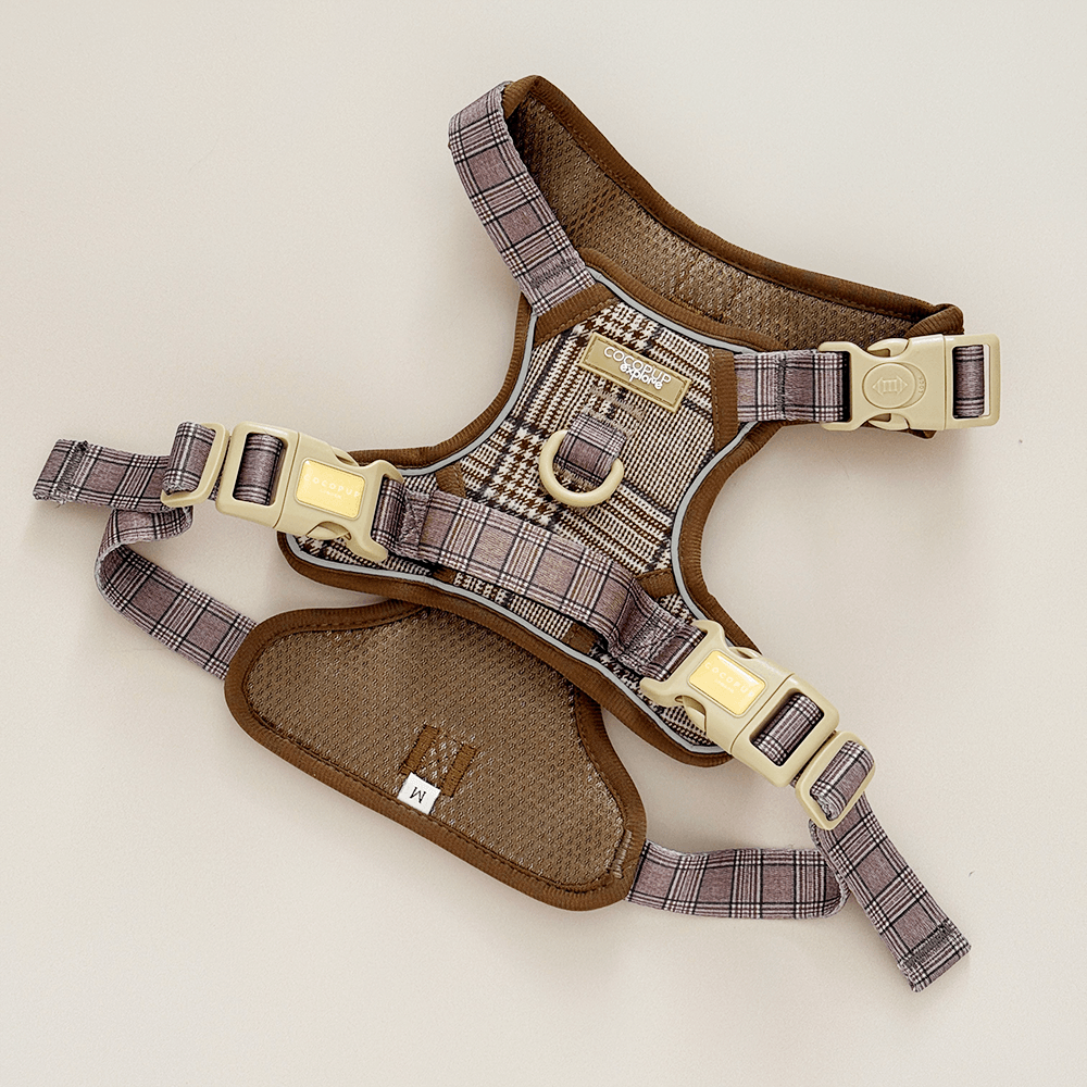 Explore Harness