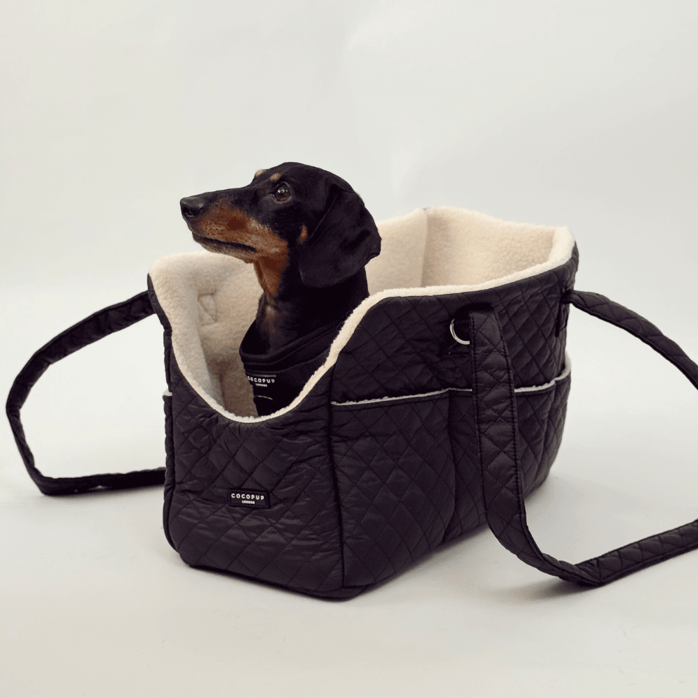 Dog Carrier
