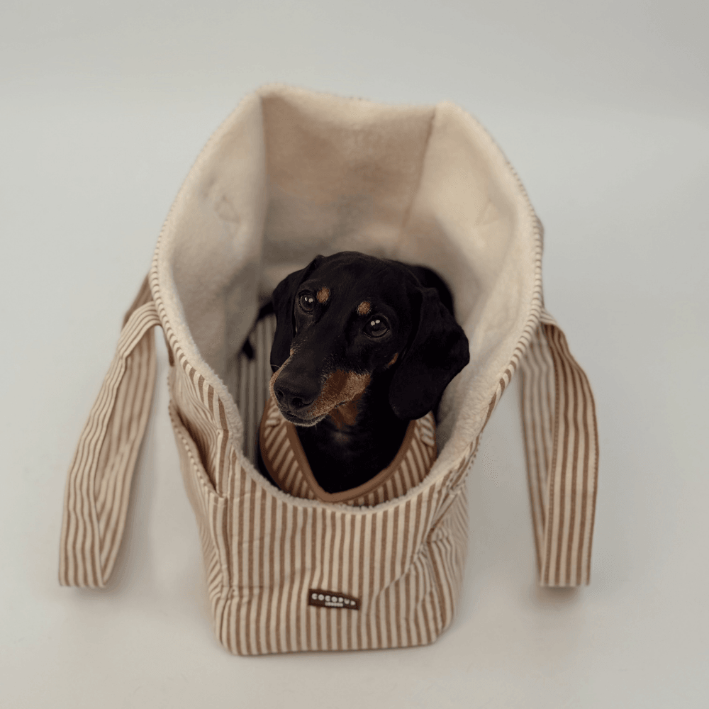 Dog Carrier