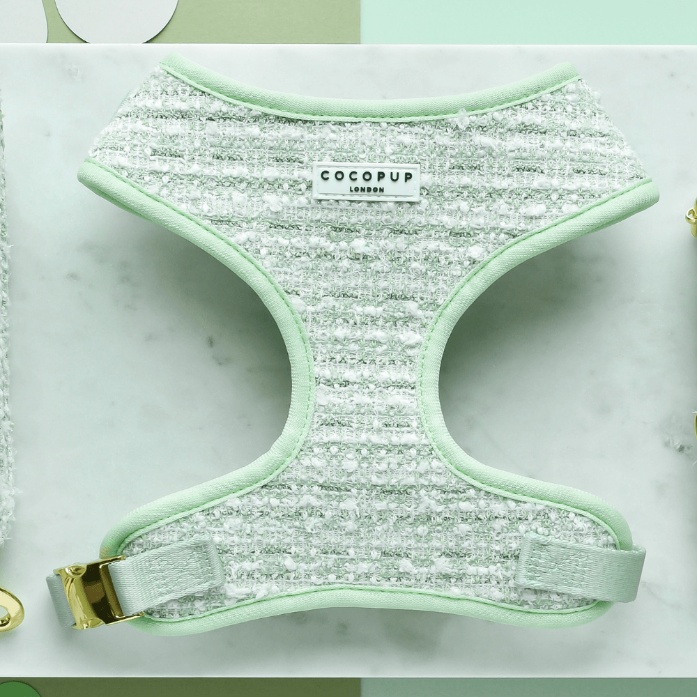 Adjustable Neck Harness