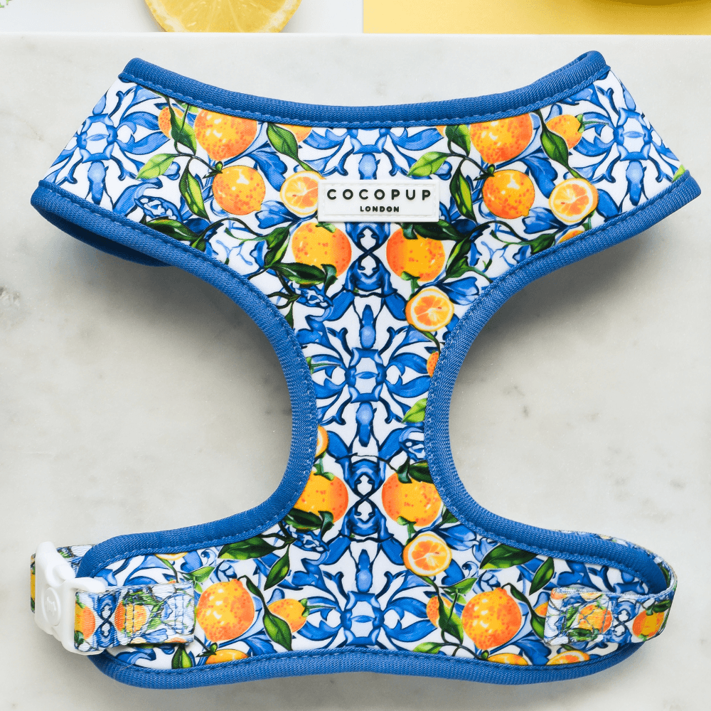 Adjustable Neck Harness