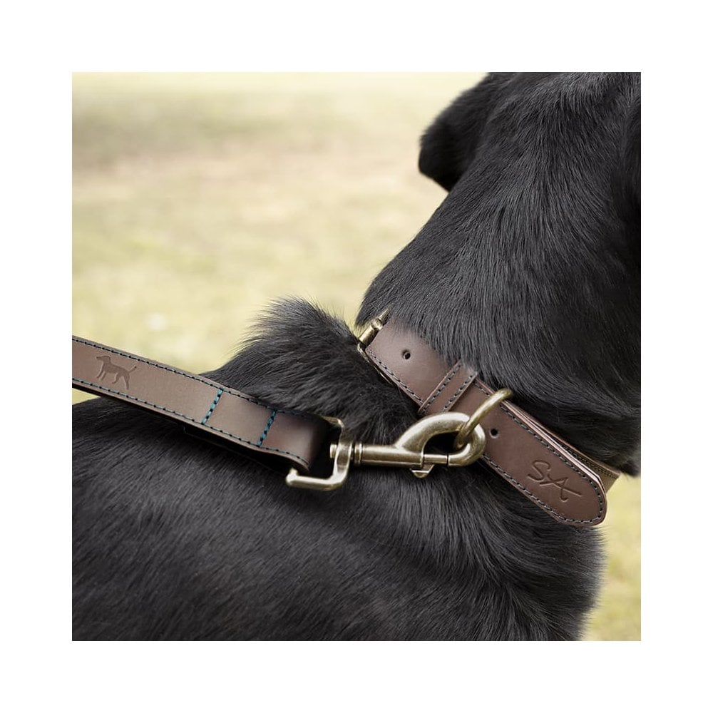 Woof Leather Dog Collar