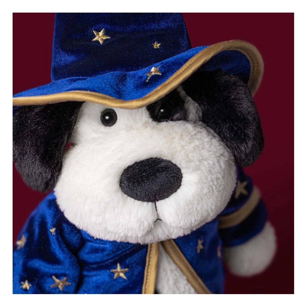 Rufferty Puppy Wizard Outfit