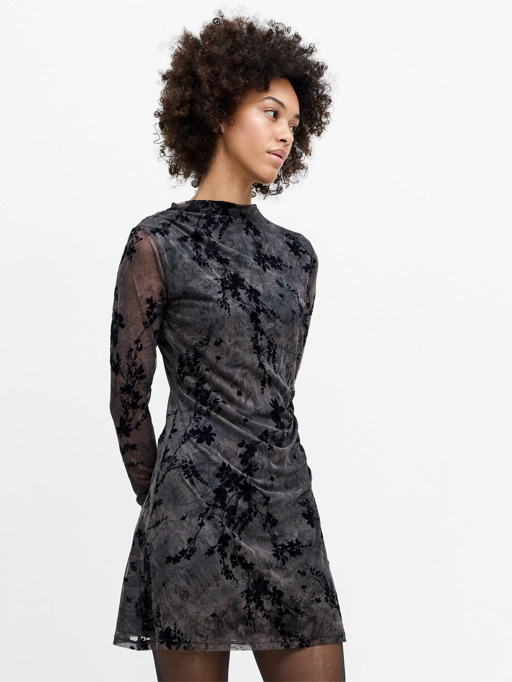 Kenny Floral Velvet Devore Mesh Midi Dress
