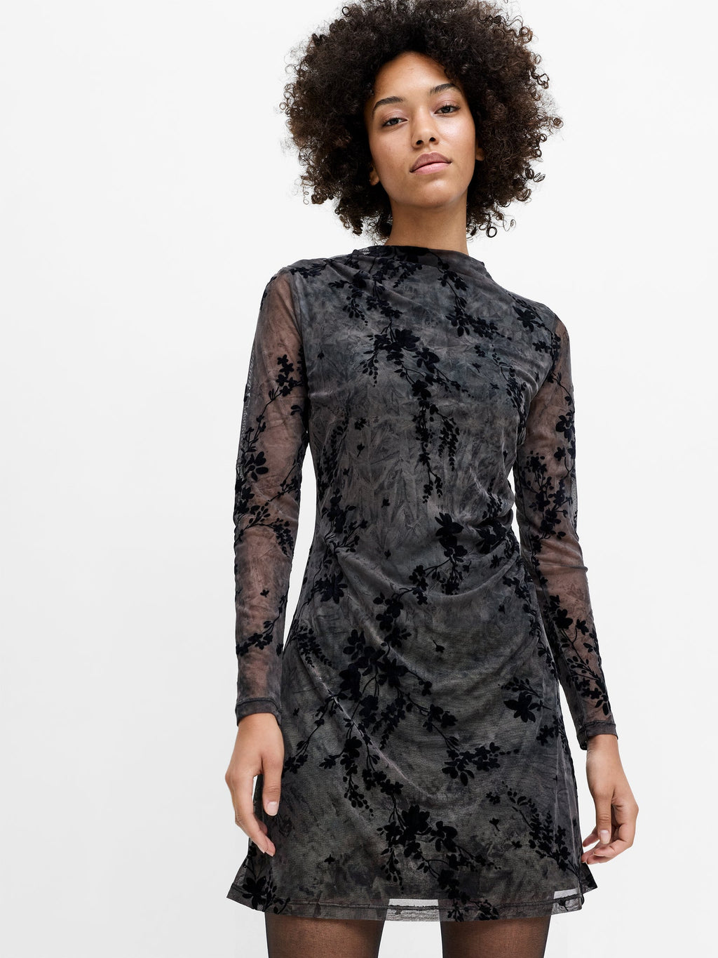 Kenny Floral Velvet Devore Mesh Midi Dress