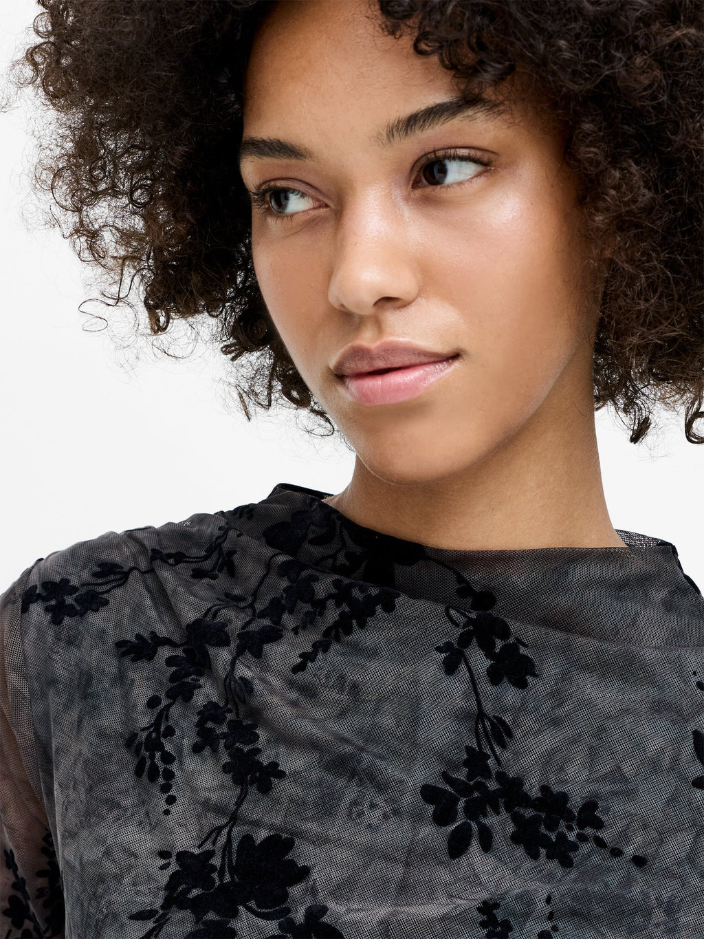 Kenny Floral Velvet Devore Mesh Midi Dress