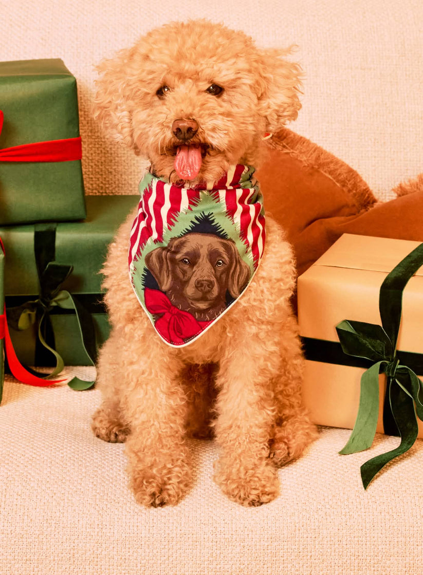 Pets Print Neckerchief
