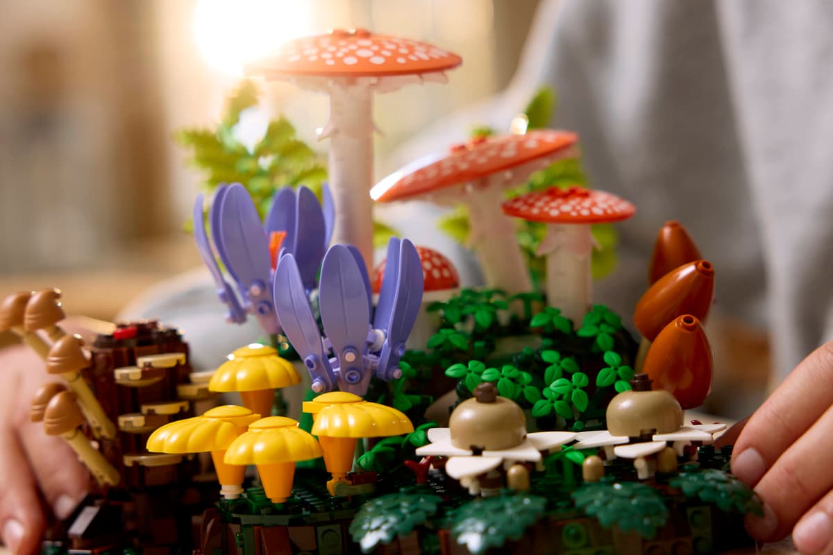 Woodland Mushrooms 11505