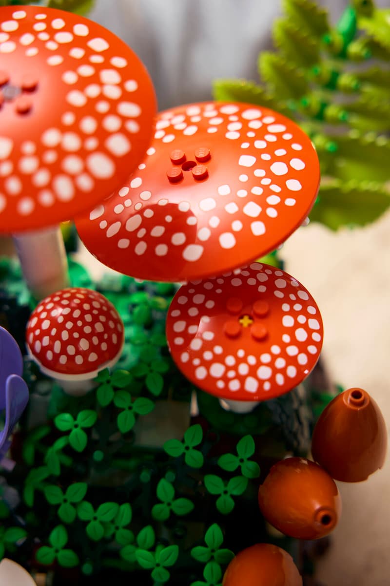 Woodland Mushrooms 11505