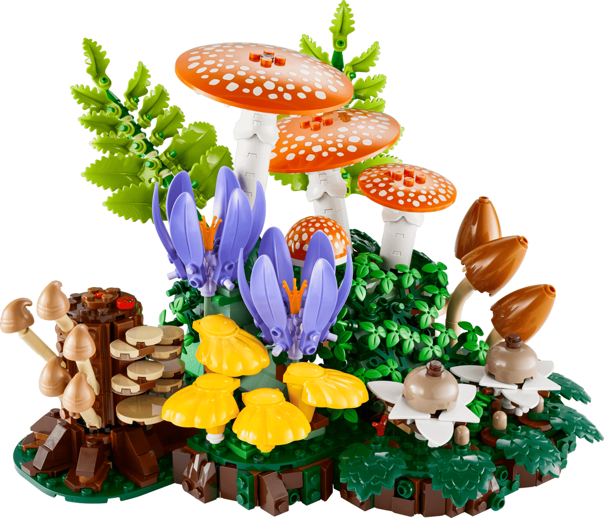 Woodland Mushrooms 11505