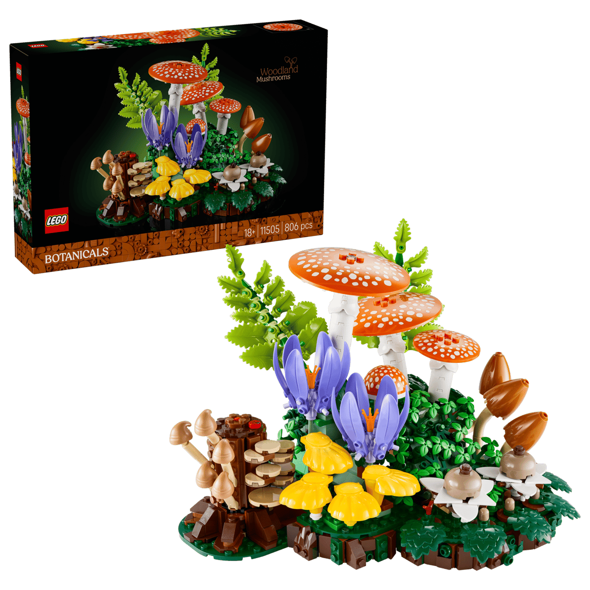 Woodland Mushrooms 11505